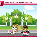   ~~, , 58  -  19  2010   PetLove