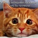 ���� ��� ����� :D, ����� - ��������� 30 ����� 2013 � ������ ������ ��������