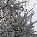 ���� ����, ������-��-���� - ��������� 26 ������� 2012 � ������ ���� ����������