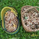 ���� ������, ������, 69 ��� - ��������� 23 ������� 2013