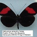 ���� ����. ��������� �� ��!, ������, 72 ���� - ��������� 7 ��� 2011 � ������ ��������