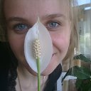 ���� �����, ������, 36 ��� - ��������� 12 ������ 2013 � ������ �2012-2013�