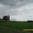  ,  -  17  2012   Niderlandi