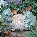 ���� ���������, ���������, 72 ���� - ��������� 2 ������� 2012 � ������ �������