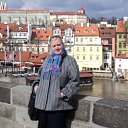 ���� �����, ������, 44 ���� - ��������� 8 ������ 2012 � ������ ���� ����������