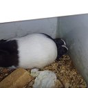 ���� ������, �������, 47 ��� - ��������� 10 ������� 2010