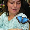 ���� �������, �����-���������, 62 ���� - ��������� 5 ������ 2013 � ������ ���� ����������