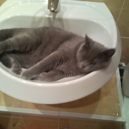 ���� �������, �������, 48 ��� - ��������� 19 ������� 2010