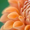 ���� ����� - ���������� ��������!!!, �����������, 56 ��� - ��������� 11 ������ 2010 � ������ ����������