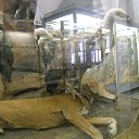 ���� ���, ��������, 30 ��� - ��������� 11 ���� 2013 � ������ ���� ����������