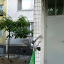 �� ������ :) �� ������� ���, ��� � � ������