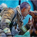 ���� ����, �����������, 50 ��� - ��������� 16 ���� 2012 � ������ �������