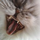 ���� �������, ��������, 62 ���� - ��������� 27 ������ 2012 � ������ ���� ����������