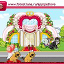  , , 27  -  12  2010   PetLove