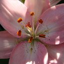 ���� ������, ������, 63 ���� - ��������� 5 ������� 2011 � ������ ������-���� �����-2�