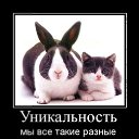  Nataly, , 52  -  18  2010   Funny Cats