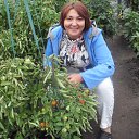 ���� ������, ��������, 54 ���� - ��������� 17 �������� 2011