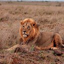 ���� Gennadii, ������� - ��������� 19 ������ 2012 � ������ ���� ����������