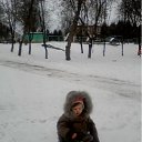  , , 71  -  11  2012     . 2.5 .