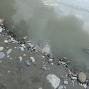  , , 41  -  23  2010   ~   ~