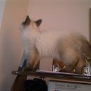   ( ),  -  22  2012     Ҹ!!!