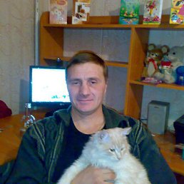 ���� �����, ���������, 54 ���� - ��������� 24 ���� 2013