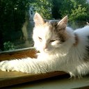 ���� Talka47, �������, 63 ���� - ��������� 19 ������ 2012