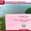 ,  , 46  -  29  2010   PetLove