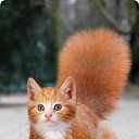 ���� M@ria, �������� - ��������� 18 ���� 2010 � ������ ���������