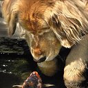 ���� Ninon, ���� - ��������� 10 ����� 2010 � ������ ������ ��� ���������)))�