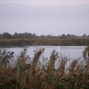 ���� ����, ������, 57 ��� - ��������� 19 ������ 2012 � ������ �������