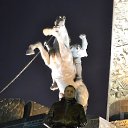 ���� ������, ������, 37 ��� - ��������� 17 ������� 2012 � ������ ���� ����������
