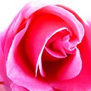 ���� ������, ���-����, 27 ��� - ��������� 17 ������� 2009 � ������ �����������