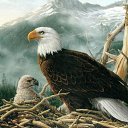 ���� ����� - ���������� ��������!!!, �����������, 56 ��� - ��������� 14 ������� 2009 � ������ ���������� �������Ż