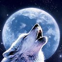 ���� �������, �����-���������, 48 ��� - ��������� 22 ��� 2012 � ������ �������