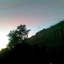  , -, 55  -  11  2010   -  Ȼ