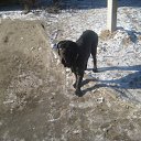 ���� ������, ������-��-����, 45 ��� - ��������� 21 ������ 2011 � ������ �����