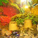 ���� ������, ����, 28 ��� - ��������� 3 ������ 2010 � ������ �PetLove�