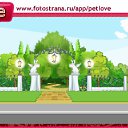  , , 36  -  16  2011   PetLove