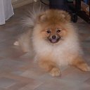 ���� �����, ����, 59 ��� - ��������� 10 ����� 2012 � ������ ���� ��������