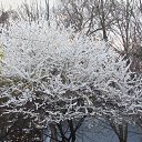 ���� ����, ������-��-���� - ��������� 26 ������� 2012 � ������ ���� ����������