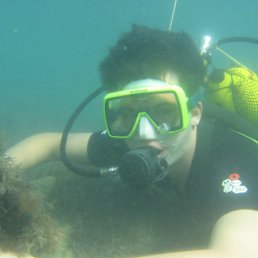  ,  , 37  -  24  2012