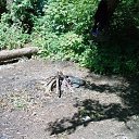 ���� @_@, �����, 51 ��� - ��������� 6 ������ 2009