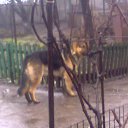 ���� �����, ������ ���, 40 ��� - ��������� 31 ����� 2013 � ������ ������ ��������