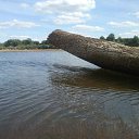 ���� �������, ����, 42 ���� - ��������� 24 ������� 2010 � ������ �������