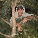  Digimon, , 37  -  25  2011    