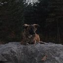  , , 41  -  15  2010   ~ ~ ~