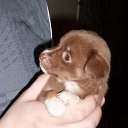 ���� �������, �����, 63 ���� - ��������� 11 ������� 2009 � ������ �������