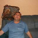  , --, 51  -  1  2013    