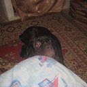 ���� ������, ������-��-����, 45 ��� - ��������� 21 ������ 2011 � ������ �����